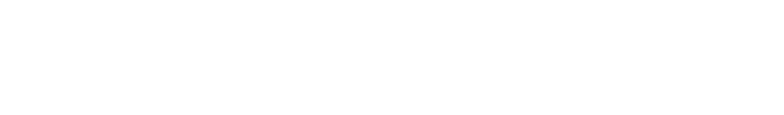 Wit Bose logo