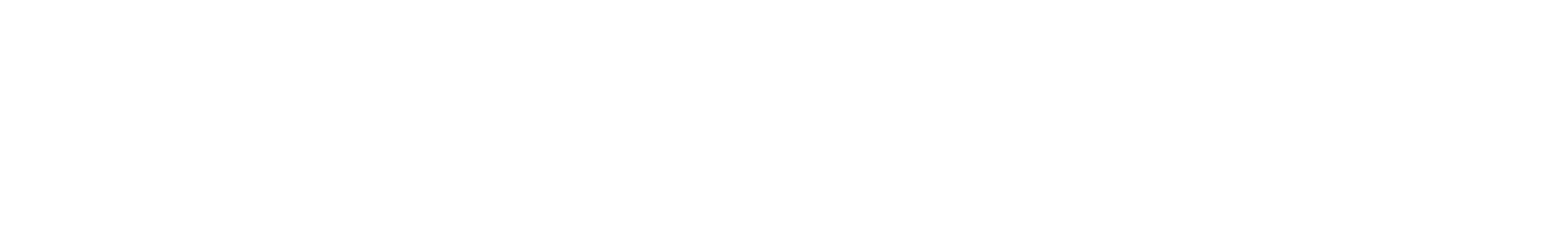 Wit Sonoro Logo