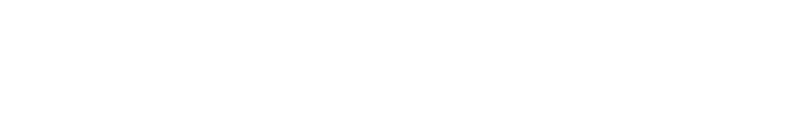 Wit Vogels logo